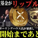【リップル速報】国際通貨基金がリップルを採用し、急騰開始まであと5日【仮想通貨】