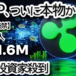 【$61.6M流入】リップル,XRP ETF 承認カウントダウン！価格10%急騰の裏側と$5目標の根拠を徹底解説