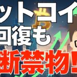 ビットコイン（BTC)！下落するも急回復してきた！〜でも油断禁物！