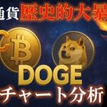 【仮想通貨大丈夫？】直近の下落を踏まえたビットコイン・ドージコインの見解について　#BTC #doge #dogecoin #暗号資産 #仮想通貨
