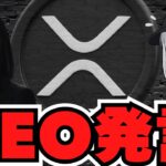 リップルCEOが銀行提携について発言？仮想通貨バブルは本当に来るのか？【ビットコイン・XRP】