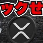 リップルCEO・XRP強気発言！仮想通貨の波が来るか／JPモルガンがビットコイン担保計画か