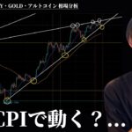 今夜CPI発表！　金融所得課税が…ヤバい　【BTC・ETH・ドル円・GOLD・アルトコイン】