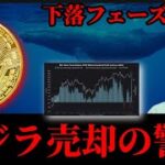 【ビットコインクジラの売り炸裂？】下落が警戒される理由は？Monadプレマ先物上場とBase Polymarketのトークン発行示唆