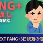 【新NISA】10.16FANG+の見通し｜iFreeNEXT FANG+続落の次は暴騰！？TSMCの決算
