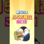 【保存版】新NISAで月5万積立はこう使え！