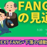 【新NISA】9.30FANG+の見通し｜iFreeNEXT FANG+下落！インフレに備えるには投資あるのみ？