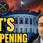 Ripple XRP News – BREAKING: XRP BUYBACK IS HAPPENING (OFFICIAL)