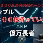 【リップル速報】　リップル　３３００枚持っていれば　億万長者になれる。　　毎日３０００XRPがバーンされる！