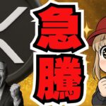 【仮想通貨】XRPクジラ過去最高で急騰！政府閉鎖終了で来週期待！