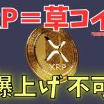 【リップル完全解説】XRPは草コインな理由
