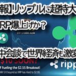 【速報】リップル(XRP) BTCに新たな動き？著名投資家が「大幅ロング」を宣言。一方、米中貿易摩擦は10月30日の首脳会談を前に緊張緩和ムード