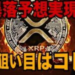 【次の狙い目はコレ】XRPリップル暴落予想実現‼️100年に一度の大チャンスで爆益おめでとうございます🚀