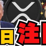 【仮想通貨】米中首脳会談！XRP上昇できるのか？ビットコイン利下げしたのに下落／12月は利下げしない？