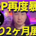 【XRP】リップル再び暴落・・・残り2ヶ月どうする？
