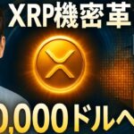 【XRPリップル】ついに動き出した“プログラム可能なプライバシー”！金融機関採用の最終章と20,000ドルXRPへのロードマップ！