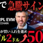 【リップル速報】暴落をきっかけに機関投資家が動き出しXRPが500ドル突破する理由【仮想通貨】