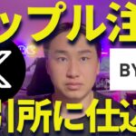 【XRP】リップルの動きに注目！BTC最高値更新の裏で何が？