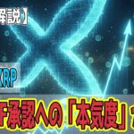 最新【リップルXRP】【本気】暴落の裏で現物ETF承認への「本気度」が加速！
