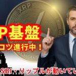 【必見】日本のXRPインフラが裏でコツコツ進行中｜金融庁・SBI・リップルの動きとは！？  #XRP  #ripple #リップル
