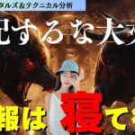 【ビットコイン】未来を知りたきゃ過去を知れ〜今は辛抱の時休むも相場