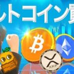 バブルのサインか まだ上がってないこのコインを買う!