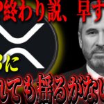 『リップル終わり!?』正直に現状だけお話しします。