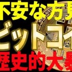 ⚠️ビットコイン歴史的大暴落⚠️今後が不安な方は必ず見てください！【仮想通貨】