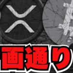 【緊急】昨日の大暴落は仕組まれた罠！仮想通貨の闇 ※消される前に見て