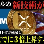 【リップル速報】米政府の利下げが確定し、年末までに３倍高騰する根拠【仮想通貨】