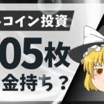 【ゆっくり解説】0.05枚のビットコインで今からお金持ちは難しい