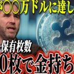 リップル1枚がとんでもない事に。ビットコインが〇〇万ドルに到達した場合。