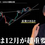 ビットコインは、12月の形がすごく重要なチャート　【BTC・ETH・ドル円・GOLD】