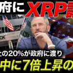 リップル全発行枚数の20%が米政府に譲渡され、12月中に7倍上昇する可能性【仮想通貨】【ビットコイン】