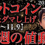 ビットコインまたダマシ上昇になるのか 来週の値動き【2025.11.3～11.9】