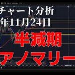 2025年11月24日ビットコイン相場分析