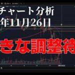 2025年11月26日ビットコイン相場分析