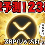 【20XX年リップル238倍へ】クジラの買いで仮想通貨上昇！XRP ETF流入／ソラナついに流出（Bitcoin ETH SOL ビットコイン イーサリアム ソラナ 最新情報 取引所 おすすめ 税金）