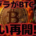 クジラが8月以来のビットコインを押し目買い！！10万ドル回復は現実的なのか？？