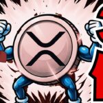 【AIバブル崩壊しても売るな】XRP3倍予想！新リップルETF爆誕に期待／ついにARKが購入（Bitcoin,ETH,SOL,ビットコイン,イーサリアム,ソラナ,最新情報,取引所,おすすめ,税金）