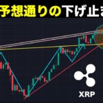 予想通り一旦下げ止まりました。#ビットコイン #BTC #リップル #XRP　#ドージコイン #DOGE #仮想通貨 #暗号資産