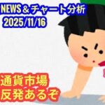 【仮想通貨市場、今週の反発ありうる】本日の相場分析は「BTC・ETH・AVAX・PLUME・KAS」2025/11/16