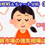 【仮想通貨市場の強気相場は来年？！】本日の相場分析は「BTC・ETH・ETC・BERA・ICP」2025/11/7