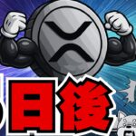 リップルCEO重要発言！11/22何が／仮想通貨20%時代へ！投資戦略について話します（XRP,Bitcoin,ETH,SOL,ビットコイン,イーサリアム,ソラナ,最新情報,取引所,おすすめ,税金）