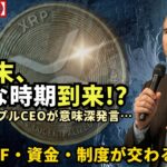 【緊急発言】リップルCEO「11月末はXRPにとって“大きな時期になる”」その真意と背景とは？ #XRP  #ripple #リップル