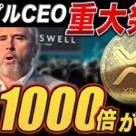 【実録音声】リップルCEO重大発表🔥XRP1000倍は現実になるのか？【仮想通貨 最新情報】