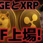 リップルとドージコイン現物ETFが来週上場だ！！ビットコインは今後上昇ターンは来るのか？？