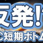 【仮想通貨 ビットコイン】本当に“底打ち”した？ETF資金反転短期＆BTCボトムと10万ドルリバウンドシナリオ（朝活配信2033日目 毎日相場をチェックするだけで勝率アップ）