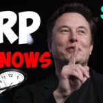 Ripple XRP ELON MUSK CONFIRMED MR POOL AS A TIME TRAVELLER OMG!