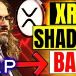 Ripple XRP Something STRANGE Happening To XRP CONTENT 🚨